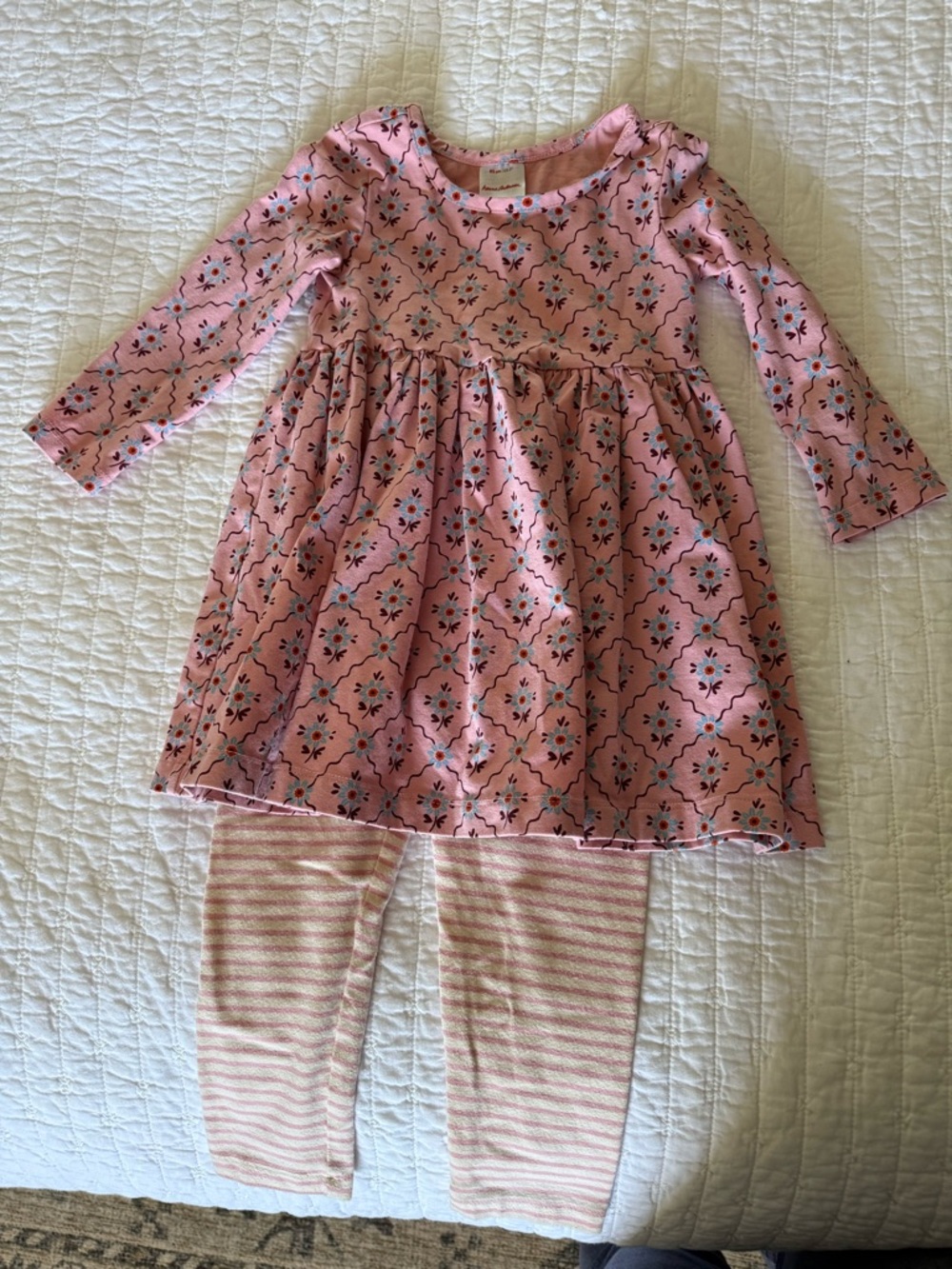 Hanna Andersson Pink Floral Long-Sleeve Skater Dress with Striped Leggings